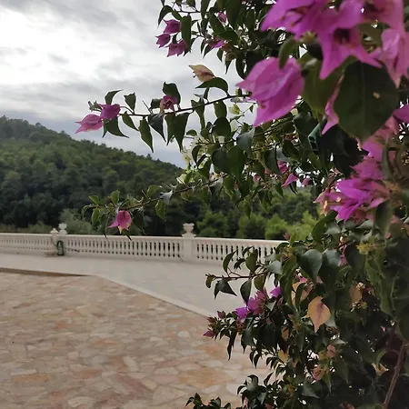 Lunamora 2 Σπίτι διακοπών Rodi Garganico