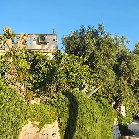 Lunamora 2 Rodi Garganico